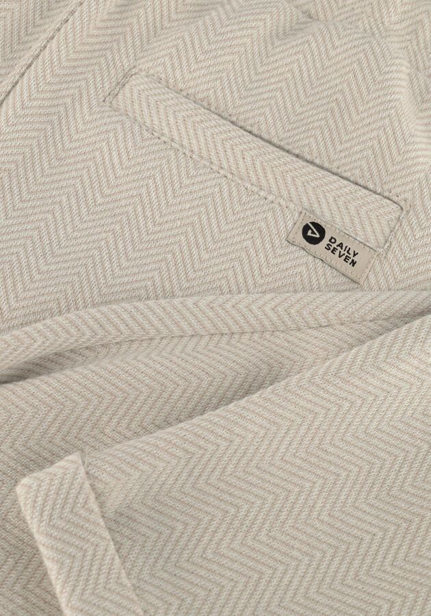 DAILY7 Jongens Broeken Herringbone Pants Beige - Foto 2
