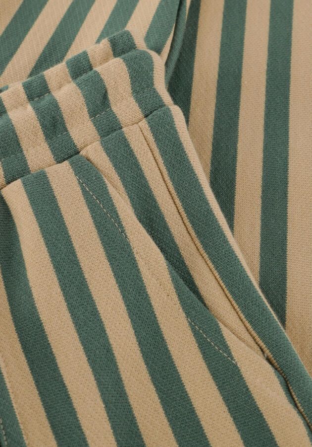 DAILY7 Jongens Broeken Jogpants Big Stripe Multi