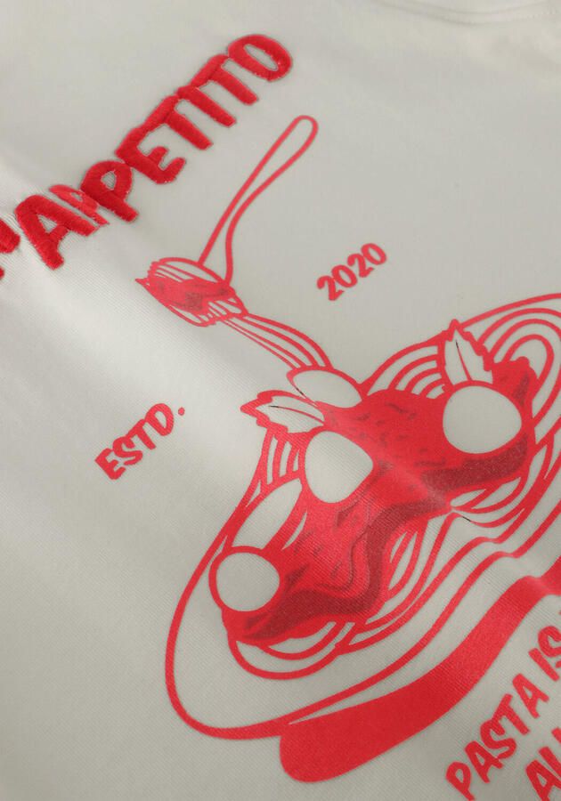 DAILY7 Jongens Polo's & T-shirts Oversied T-shirt Backprint Ecru - Foto 3