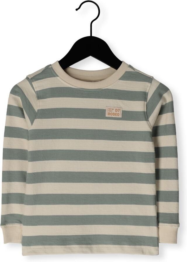 DAILY7 Jongens Polo's & T-shirts T-shirt Longsleeve Stripe Multi