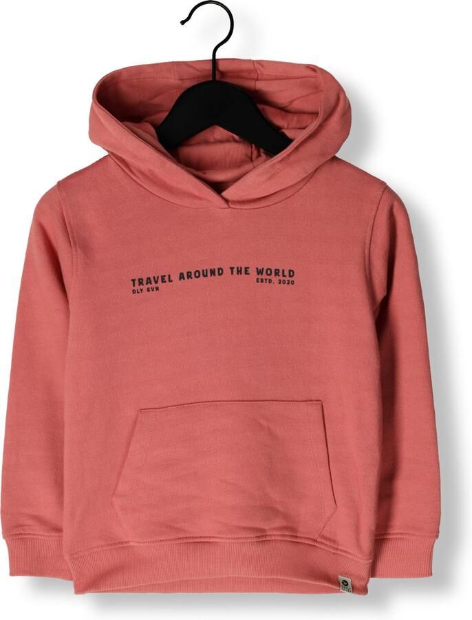 DAILY7 Jongens Truien & Vesten Hoodie Artwork Roze - Foto 3