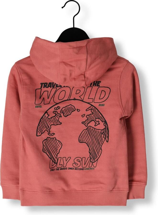 DAILY7 Jongens Truien & Vesten Hoodie Artwork Roze