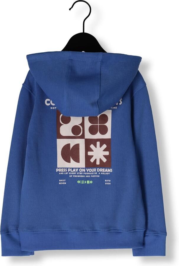 DAILY7 Jongens Truien & Vesten Hoodie Backprint Blauw - Foto 2