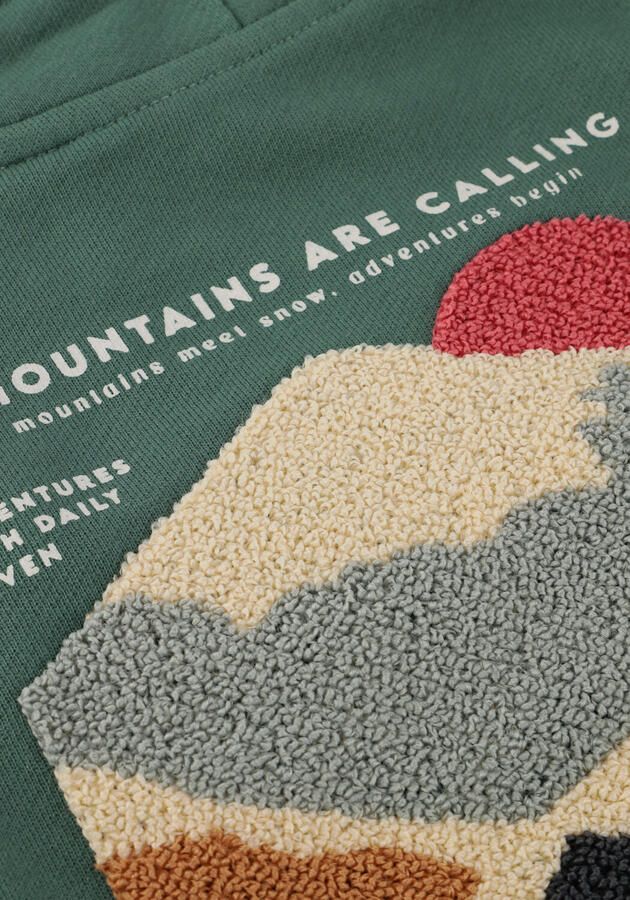 DAILY7 Jongens Truien & Vesten Hoodie Backprint Groen - Foto 2