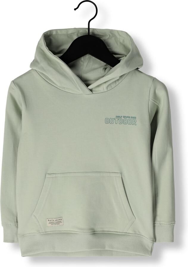 DAILY7 Jongens Truien & Vesten Hoodie Backprint Mint - Foto 3