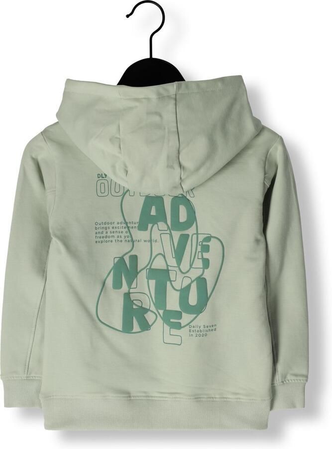 DAILY7 Jongens Truien & Vesten Hoodie Backprint Mint