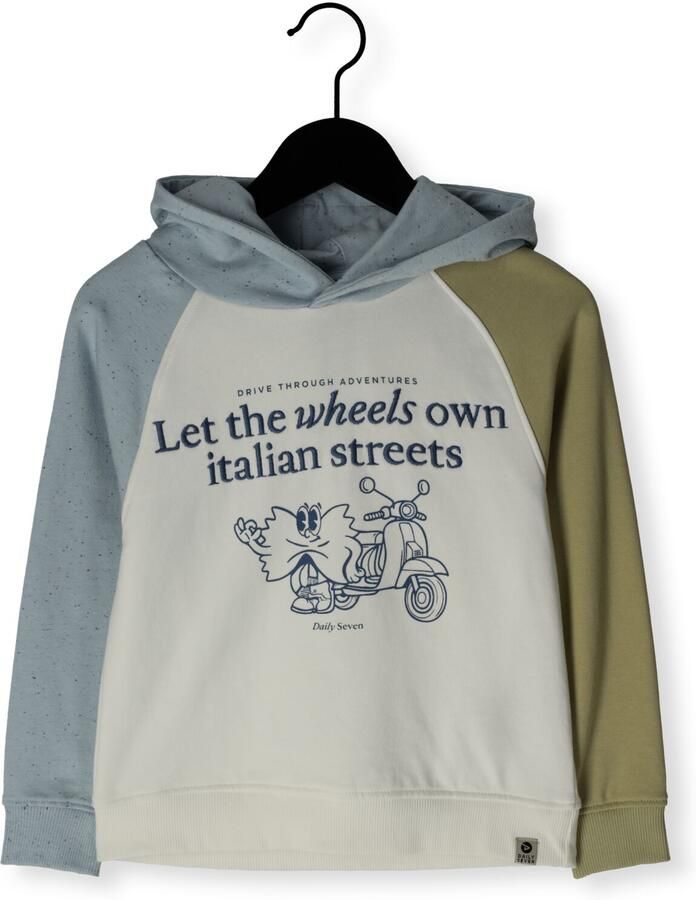 DAILY7 Jongens Truien & Vesten Hoodie Contrast Sweat Multi