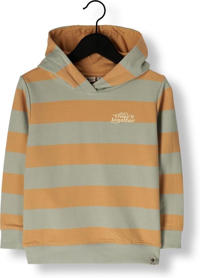 DAILY7 Jongens Truien & Vesten Hoodie Stripe Multi - Foto 3