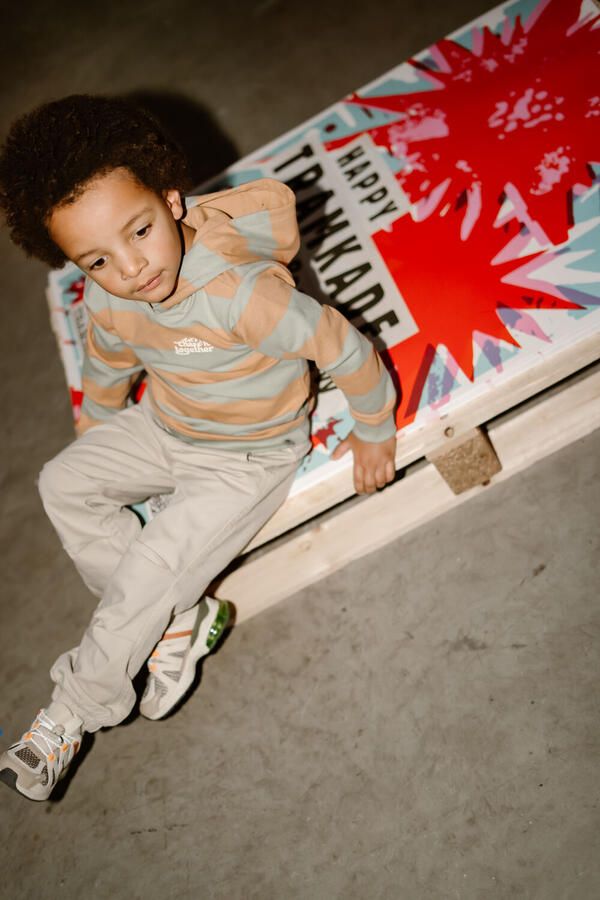 DAILY7 Jongens Truien & Vesten Hoodie Stripe Multi - Foto 2