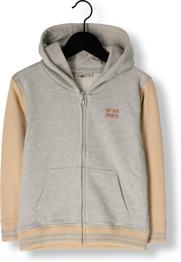 DAILY7 Jongens Truien & Vesten Hoodie Zipperjacket Multi - Foto 3