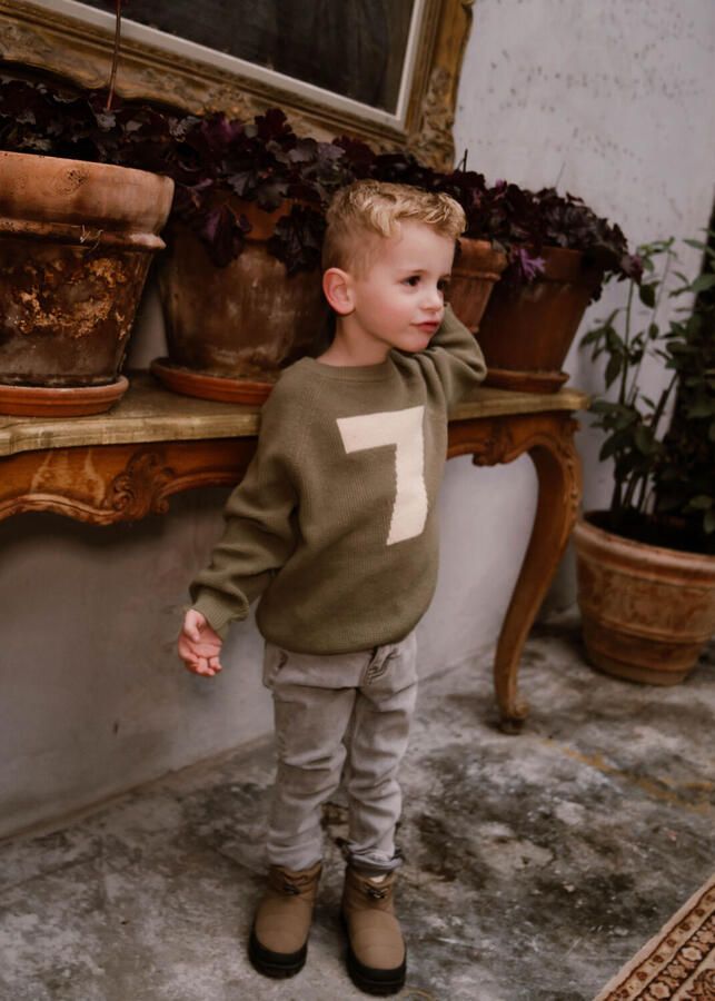 DAILY7 Jongens Truien & Vesten Knitted Sweater Dialy7 Groen - Foto 1