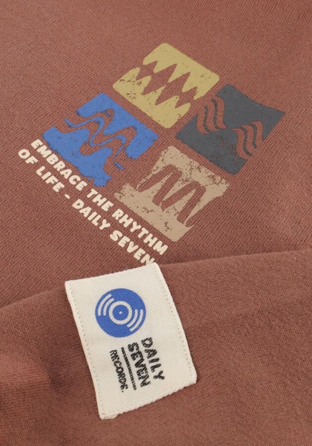 DAILY7 Jongens Truien & Vesten Oversized Sweater Artwork Bruin - Foto 2