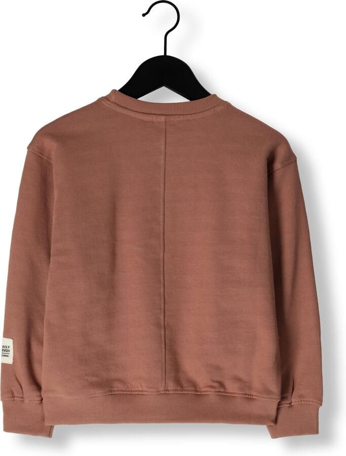 DAILY7 Jongens Truien & Vesten Oversized Sweater Artwork Bruin