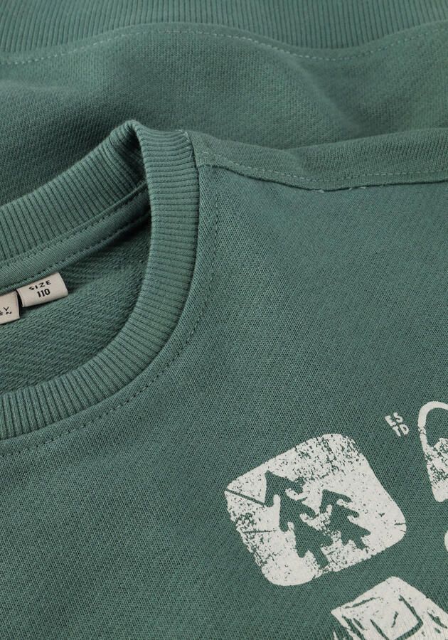 DAILY7 Jongens Truien & Vesten Oversized Sweater Artwork Groen