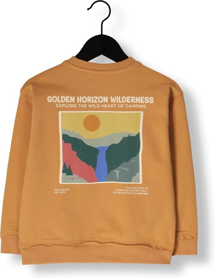 DAILY7 Jongens Truien & Vesten Oversized Sweater Backprint Camel