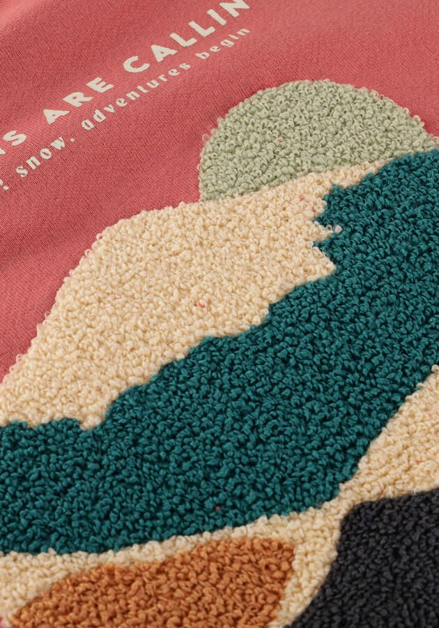 DAILY7 Jongens Truien & Vesten Oversized Sweater Backprint Roze - Foto 2