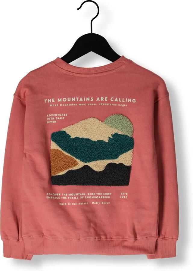 DAILY7 Jongens Truien & Vesten Oversized Sweater Backprint Roze