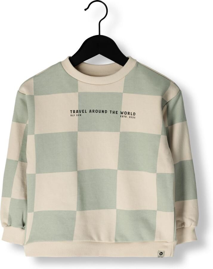 DAILY7 Jongens Truien & Vesten Oversized Sweater Check Print Multi - Foto 3