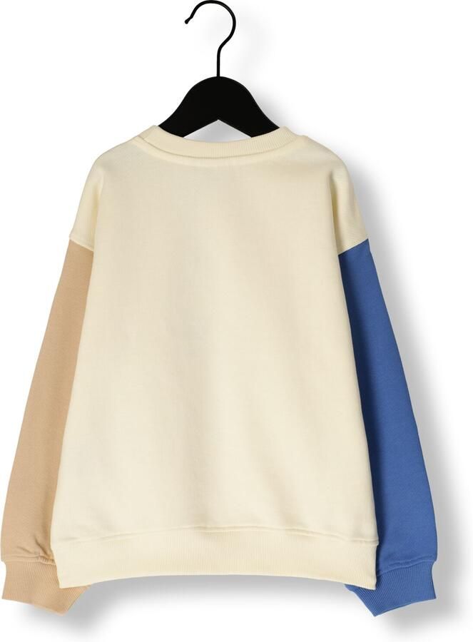 DAILY7 Jongens Truien & Vesten Oversized Sweater Cut+sew Multi