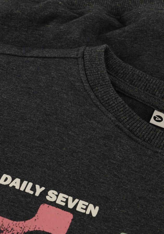 DAILY7 Jongens Truien & Vesten Oversized Sweater Daily Seven Donkergrijs