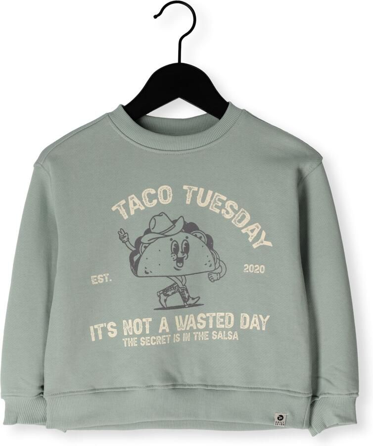 DAILY7 Jongens Truien & Vesten Oversized Sweater Print Mint