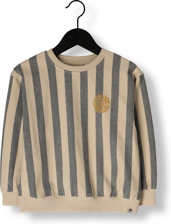DAILY7 Jongens Truien & Vesten Oversized Sweater Stripe Multi - Foto 2