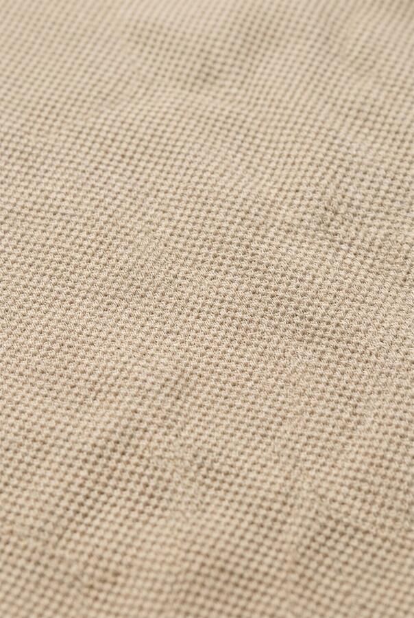 DAILY7 Jongens Truien & Vesten T-shirt Longsleeve Collar Beige