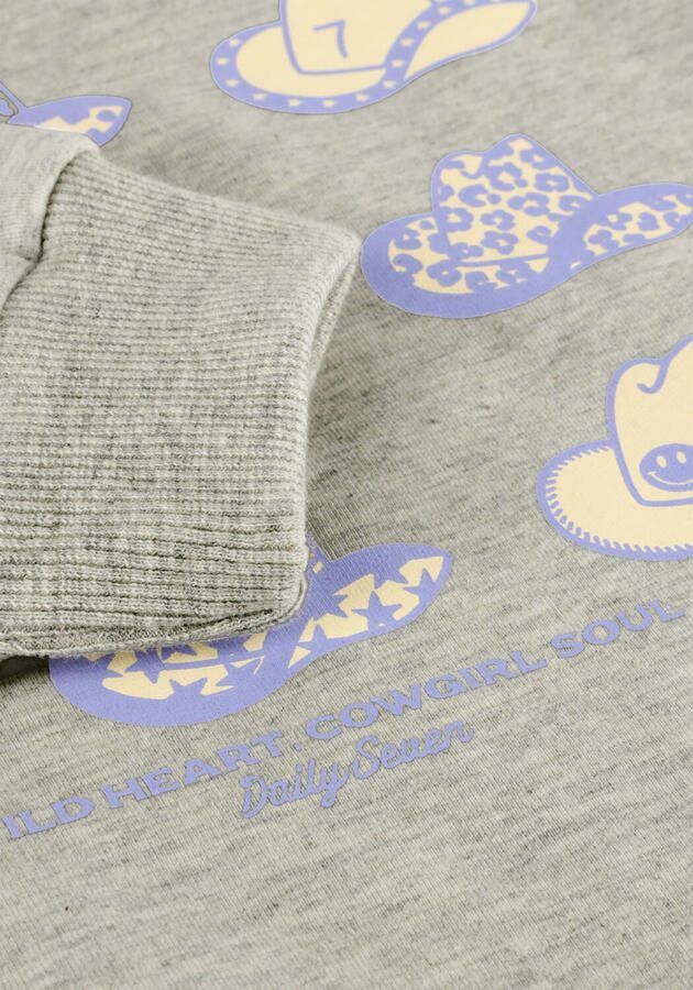 DAILY7 Meisjes Truien & Vesten Sweater Backprint Lichtgrijs