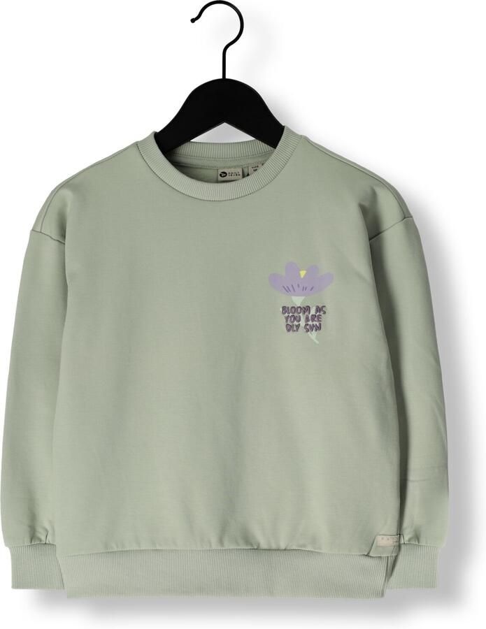 DAILY7 Meisjes Truien & Vesten Sweater Backprint Mint - Foto 2