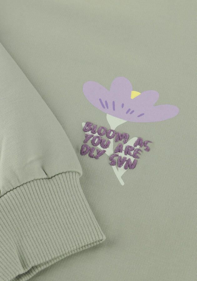 DAILY7 Meisjes Truien & Vesten Sweater Backprint Mint