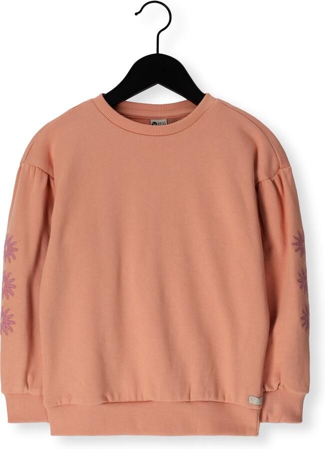 DAILY7 Meisjes Truien & Vesten Sweater Embroidery Sleeve Perzik