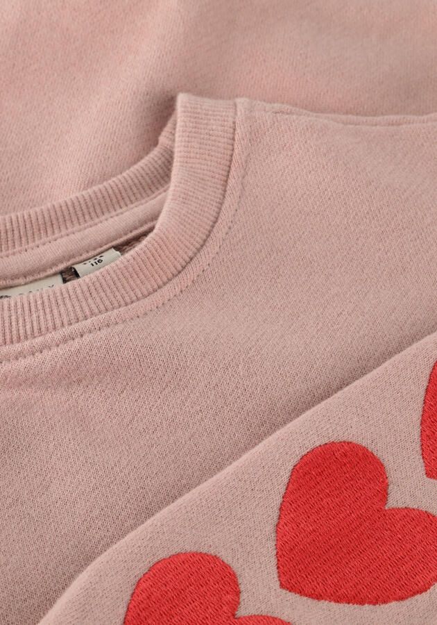 DAILY7 Meisjes Truien & Vesten Sweater Heart Embroidery Lichtroze