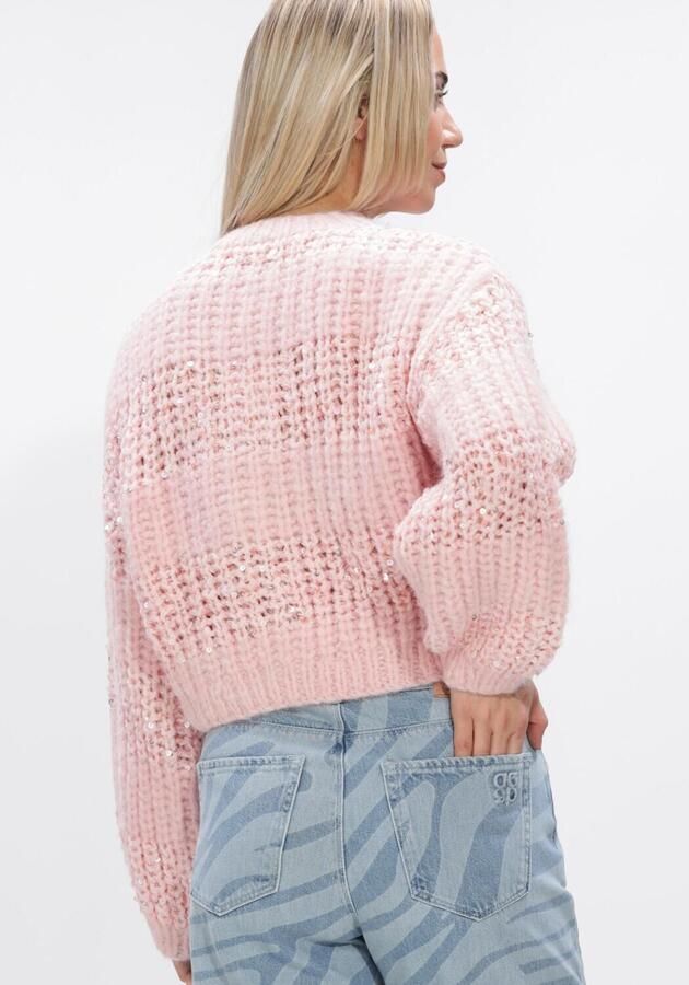 DANTE6 Dames Truien & Vesten Juna Stripe Cardigan Roze - Foto 3