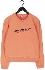 Diesel S-Ginn-Ind sweatshirt Oranje Heren