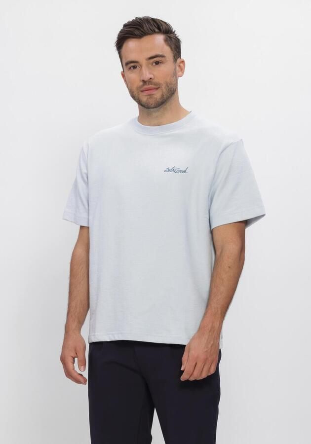 DSTREZZED Heren Polo's & T-shirts Lasse Graphic Tee Lichtblauw
