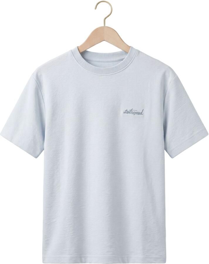 DSTREZZED Heren Polo's & T-shirts Lasse Graphic Tee Lichtblauw - Foto 2