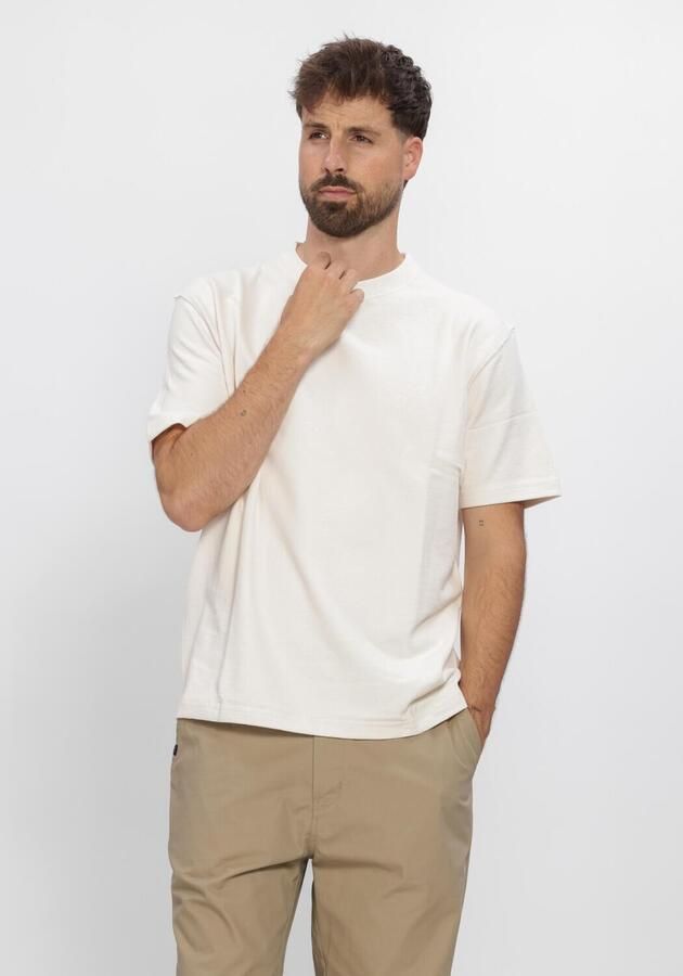 DSTREZZED Heren Polo's & T-shirts Lasse Tee Mint