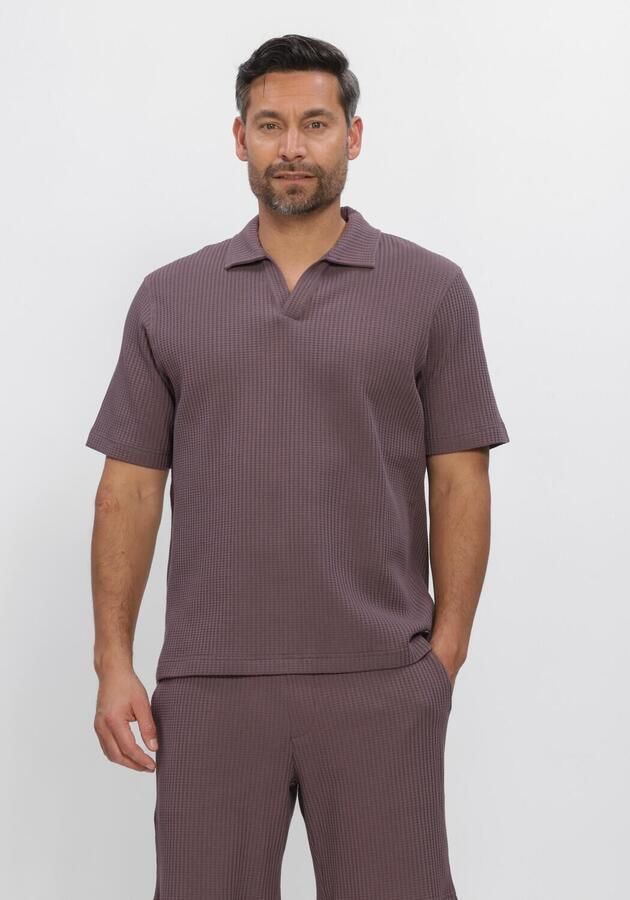DSTREZZED Heren Polo's & T-shirts Mayson Polo Paars