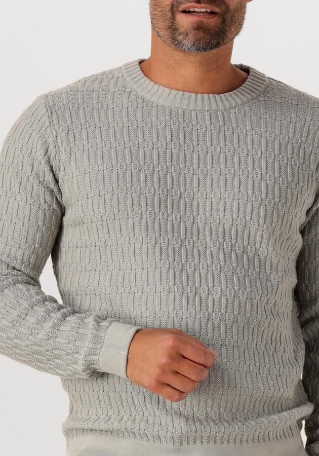 DSTREZZED Heren Truien & Vesten Novel Crewneck Lichtgrijs