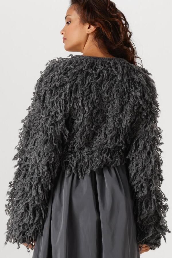 EDITED Dames Truien & Vesten Bo Alpaca Wool Jumper (grs) Donkergrijs - Foto 3