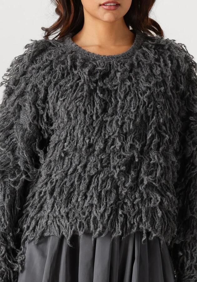 EDITED Dames Truien & Vesten Bo Alpaca Wool Jumper (grs) Donkergrijs - Foto 2