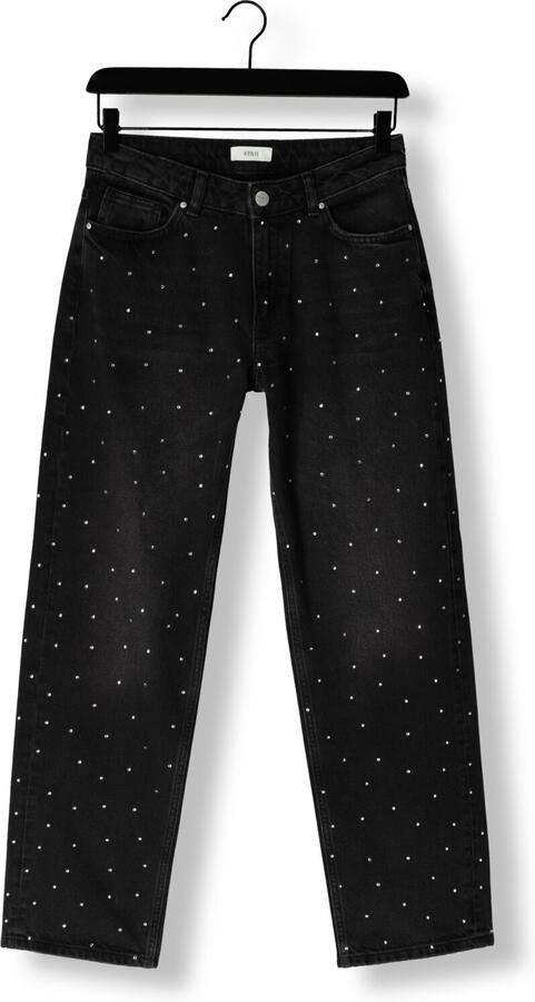 Envii Zwarte Straight Leg Jeans met Zilveren Details Black Dames - Foto 3