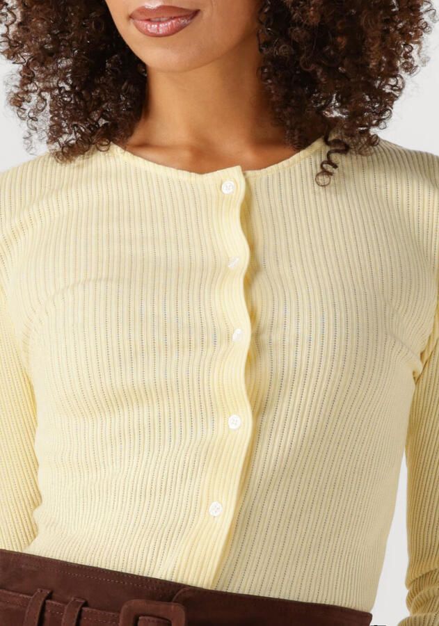 ENVII Dames Truien & Vesten Envolvi Ls Long Cardigan 7275 Geel