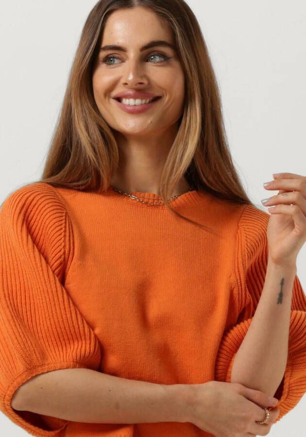 ANOTHER LABEL Dames Truien & Vesten Aicha Knitted Pull Oranje