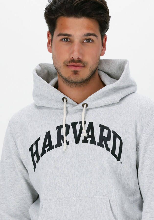 Champion Lichtgrijze Sweater Hooded Sweatshirt 218030