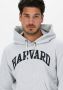 Champion Lichtgrijze Sweater Hooded Sweatshirt 218030 - Thumbnail 4