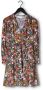 Fabienne Chapot Korte jurk met V-hals en decoratieve knopen Multicolor Dames - Thumbnail 3