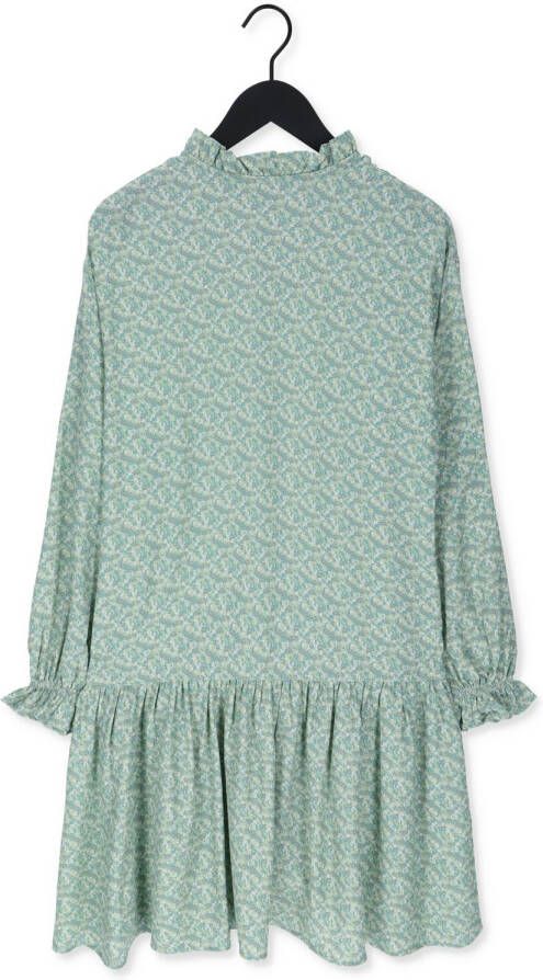 NA-KD Dames Jurken Frill Detail Mini Dress Groen