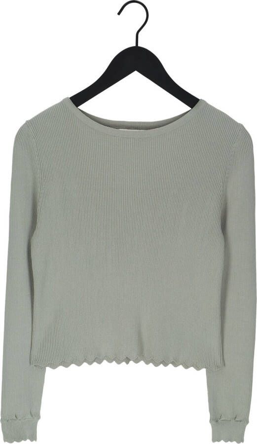 OBJECT Dames Tops & T-shirts Objharriet L s Knit Pullover Groen