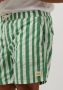 SCOTCH & SODA Heren Zwembroeken Mid Length Batik Stripe Printed Swimshort Groen - Thumbnail 3